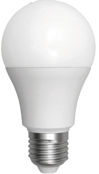 LED Globe G60 12W E27 (1050 Lumen) Avide